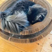 Customer photo from Deborah's review