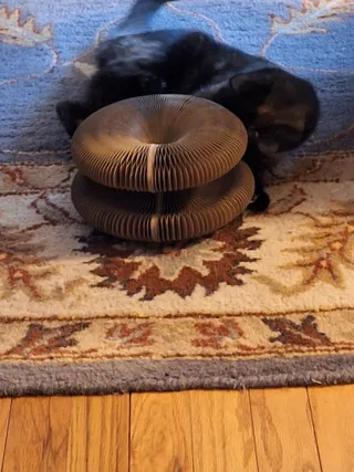 Black cat curled behind a folded Kitty Kurlz cardboard scratcher on a blue oriental rug