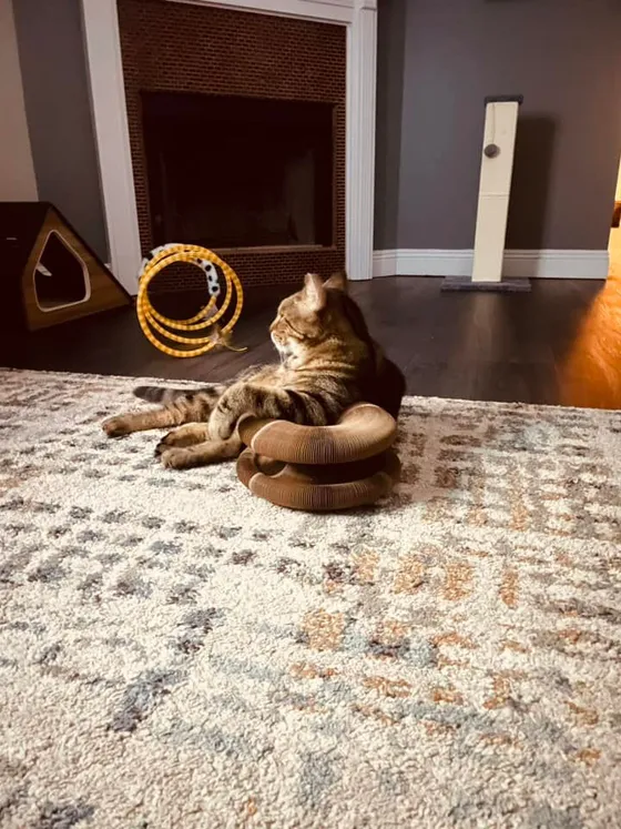 Brown tabby cat lounging with its paws draped over a stacked Kitty Kurlz cardboard scratcher on a cream rug near a fireplace